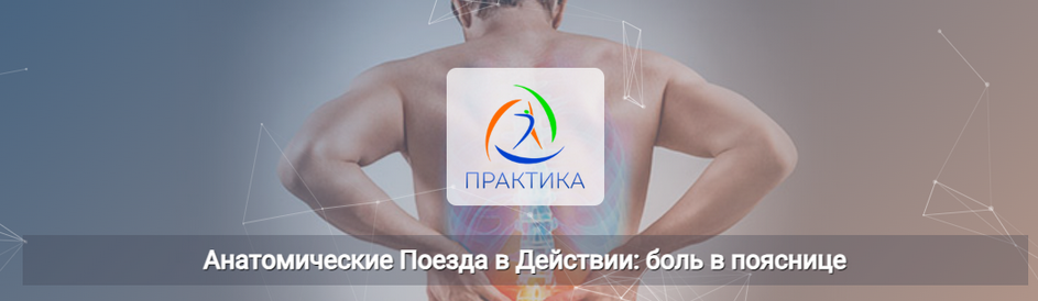 [Анна Щербина] [Центр Практика] Анатомические поез_0.png